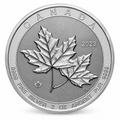 2023 Canadian Twin Maples 2 oz Silver Coin – .9999 Fine Silver | Royal Canadian Mint